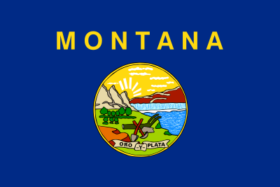 Flag of Montana 1