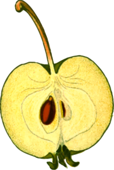 HalfAppleHires