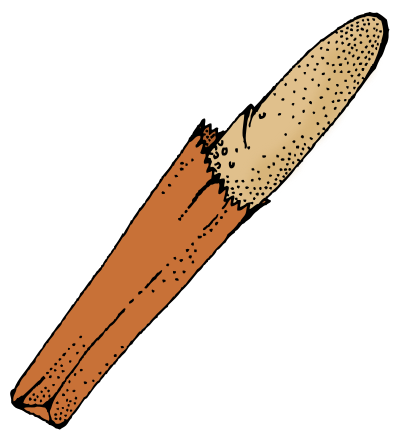 french loaf color
