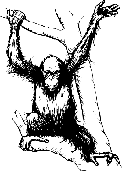 1488719235